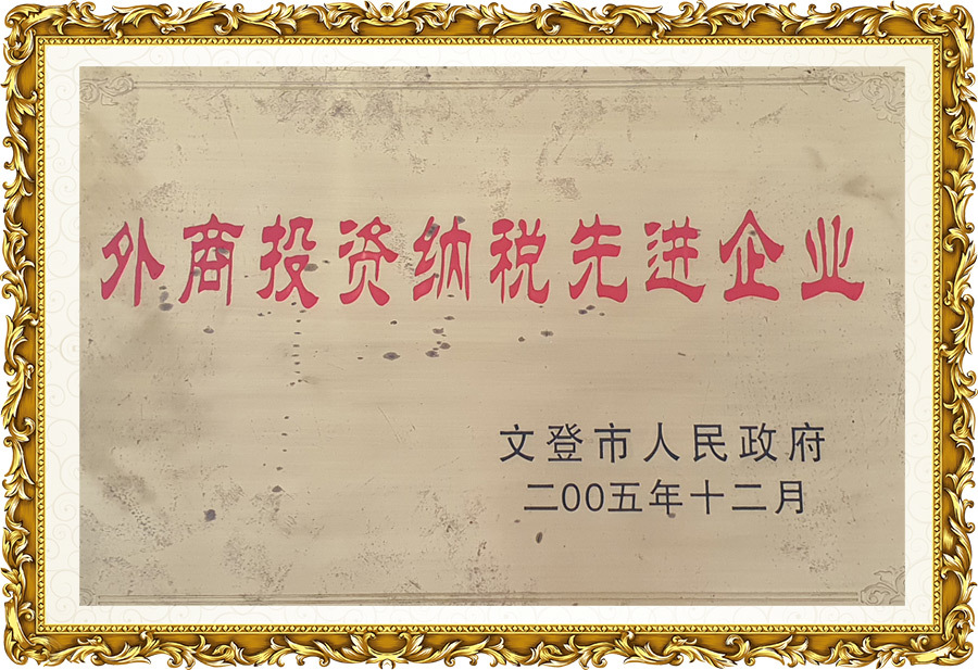 Advanced Enterprise for Foreign Investment and Taxation Advanced Enterprise for Foreign Investment and Taxation