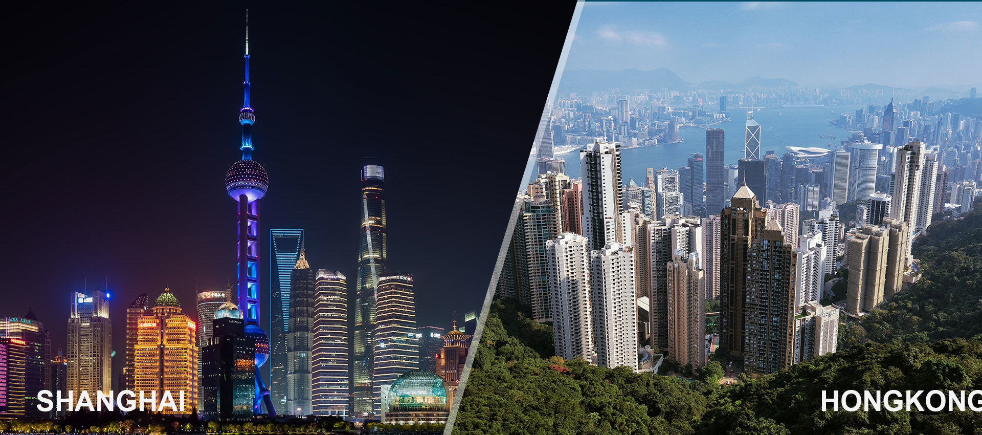 DEX International Logistics