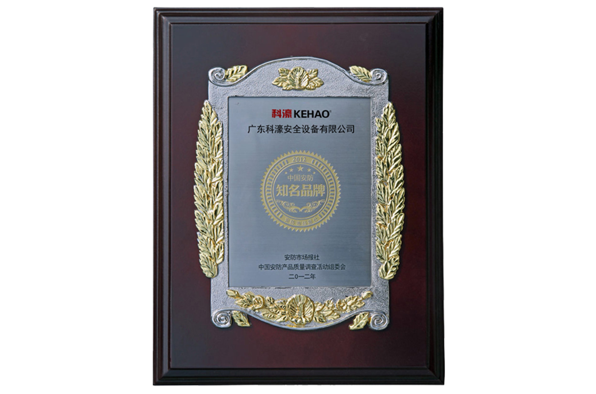 中國安防知名品牌