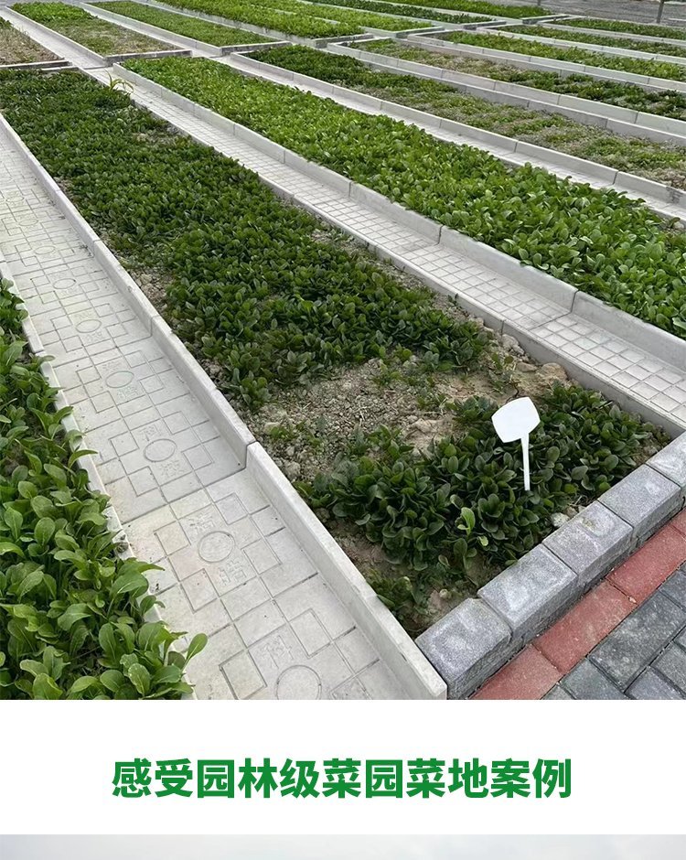 菜地溝蓋板
