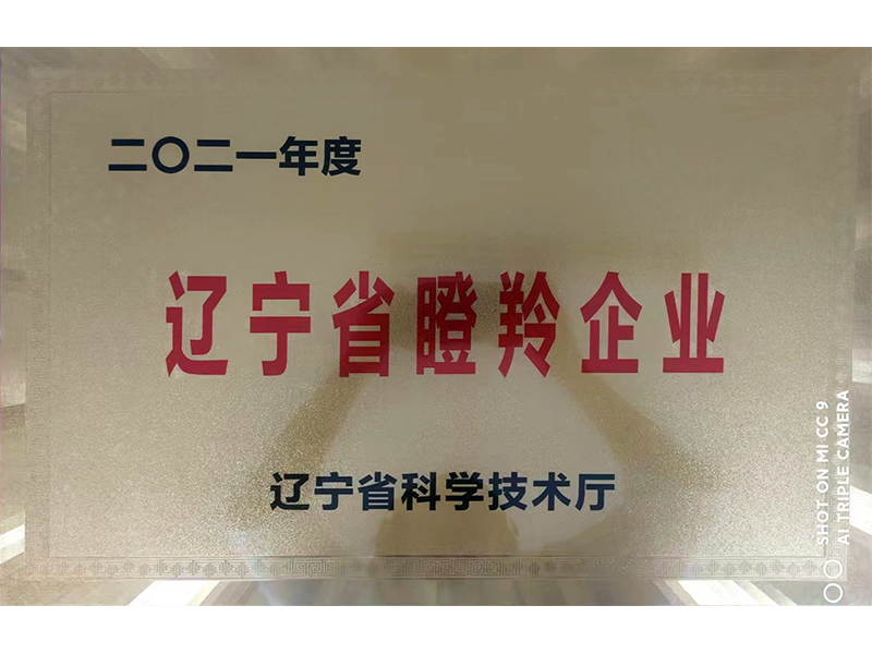 遼寧省瞪羚企業(yè)