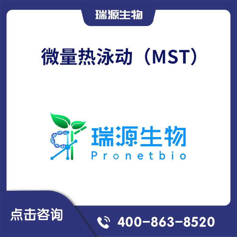 微量热泳动（MST）