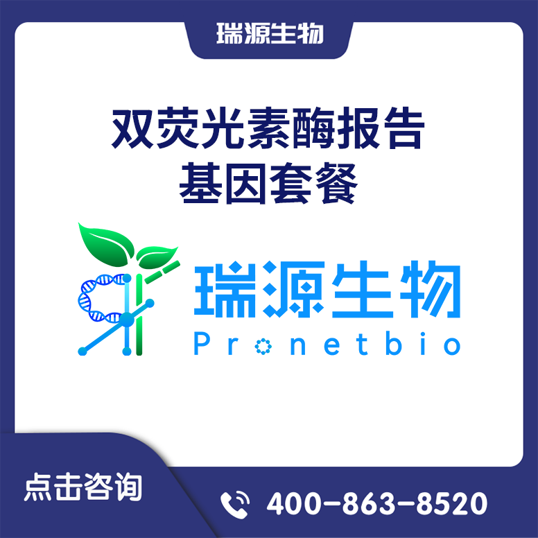 双荧光素酶报告基因套餐
