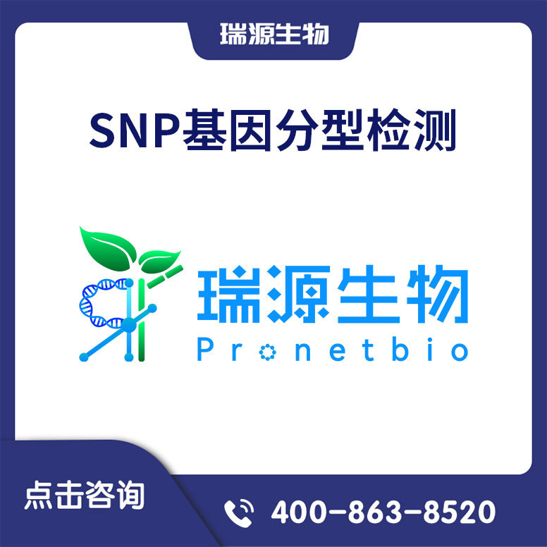 SNP基因分型检测