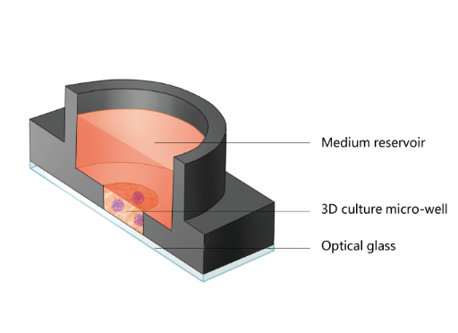 3D高通量微器官芯片