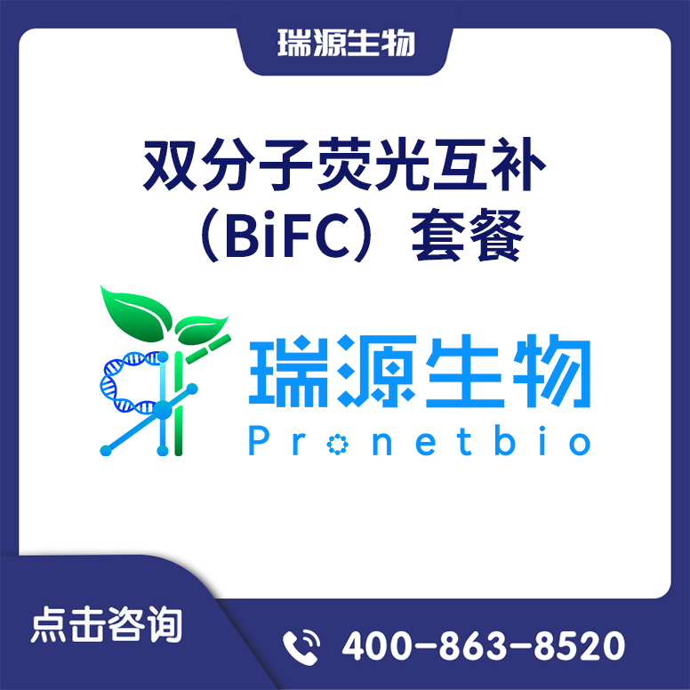双分子荧光互补（BiFC）套餐