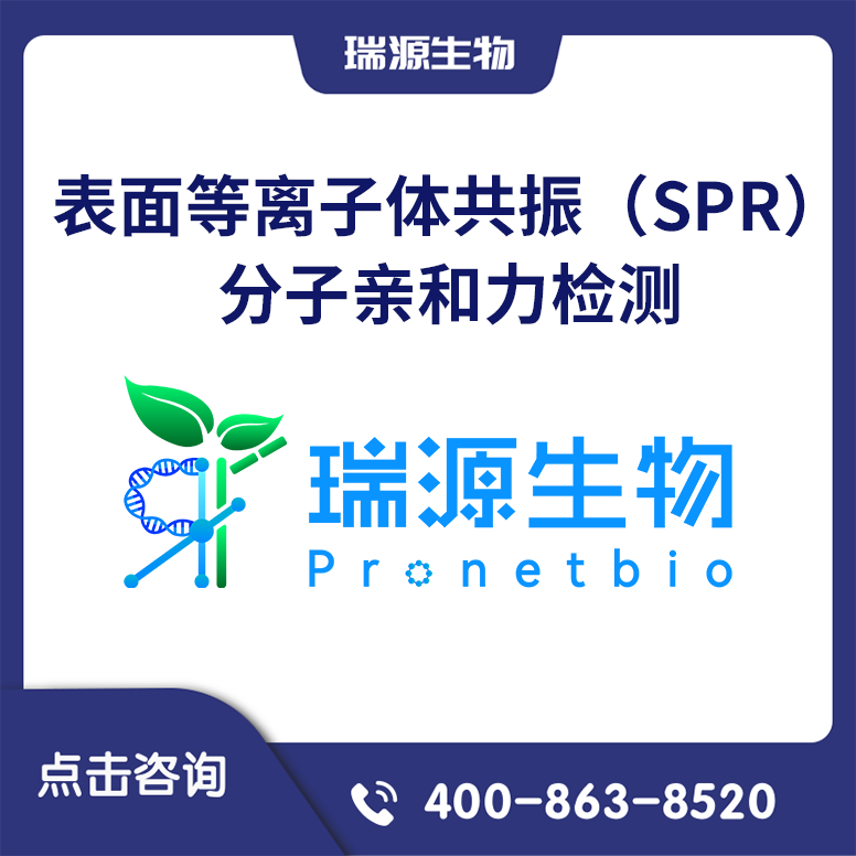 表面等离子体共振（SPR）分子亲和力检测