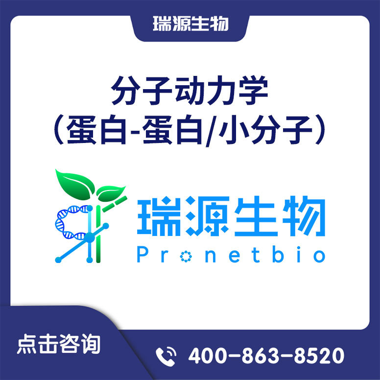 分子动力学（蛋白-蛋白/小分子）