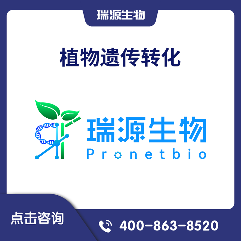 植物遗传转化