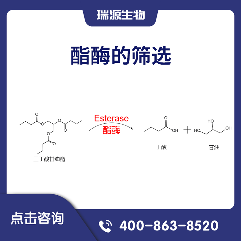 酯酶的筛选