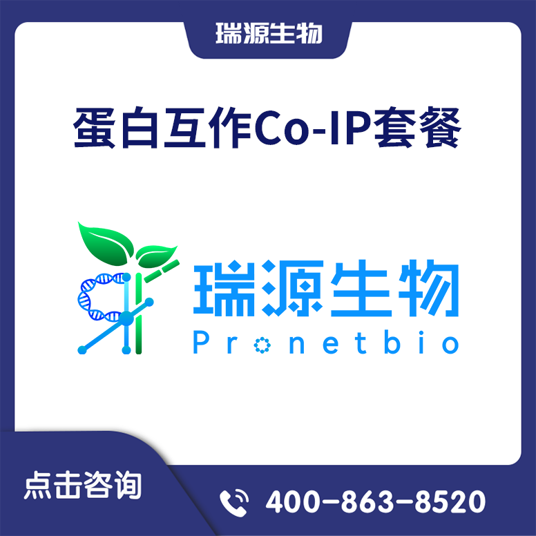 蛋白互作Co-IP套餐