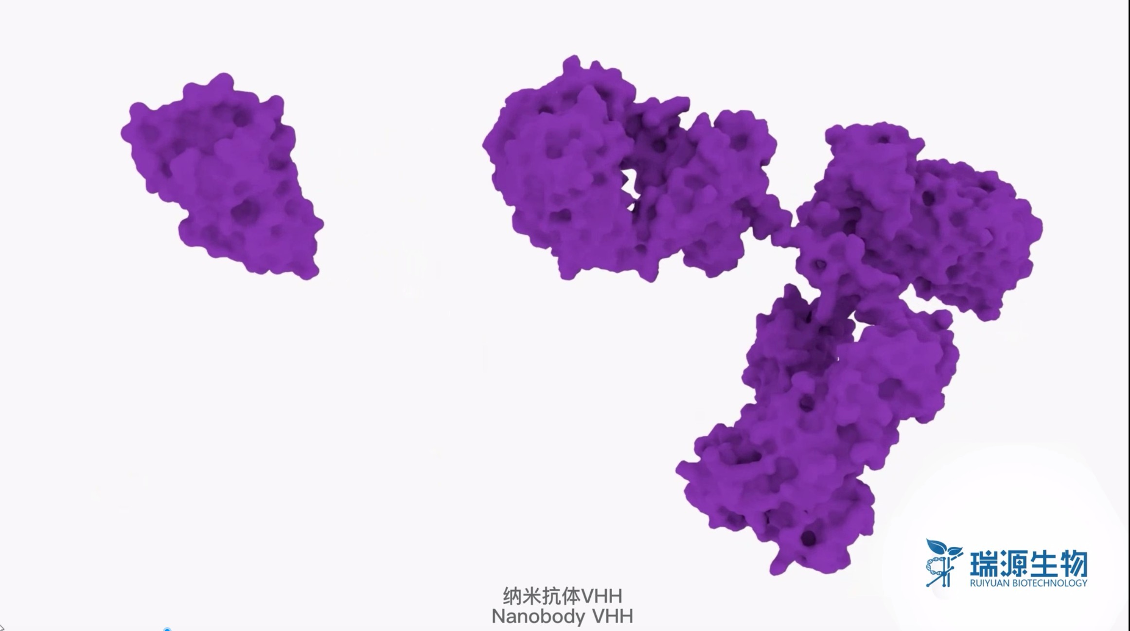 纳米抗体合成库原理