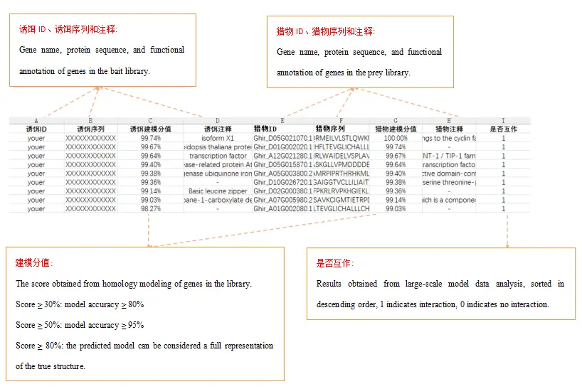 Digital Library-to-Library Interaction Screening Case Report