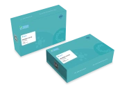 Second-Generation Yeast Colony PCR Kit