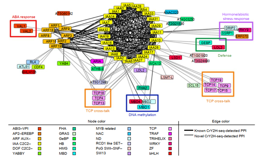 CrY2H-seq Library Screening