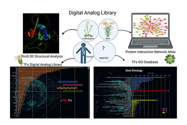 AI Screening Digital Library