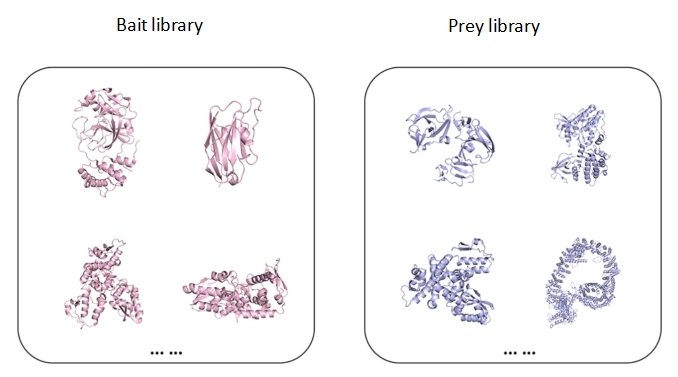 AI-Powered Digital Library-to-Library Interaction Screening