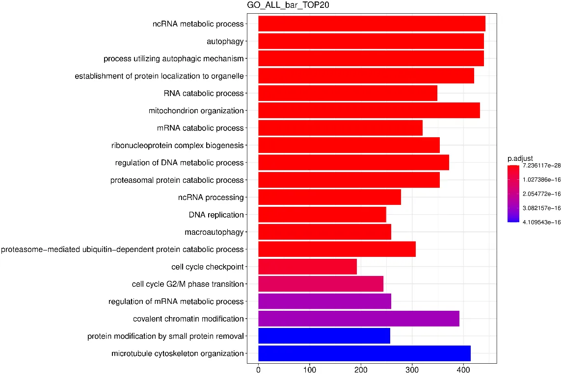 ChIP-qPCR & ChIP-seq Service Case Result3
