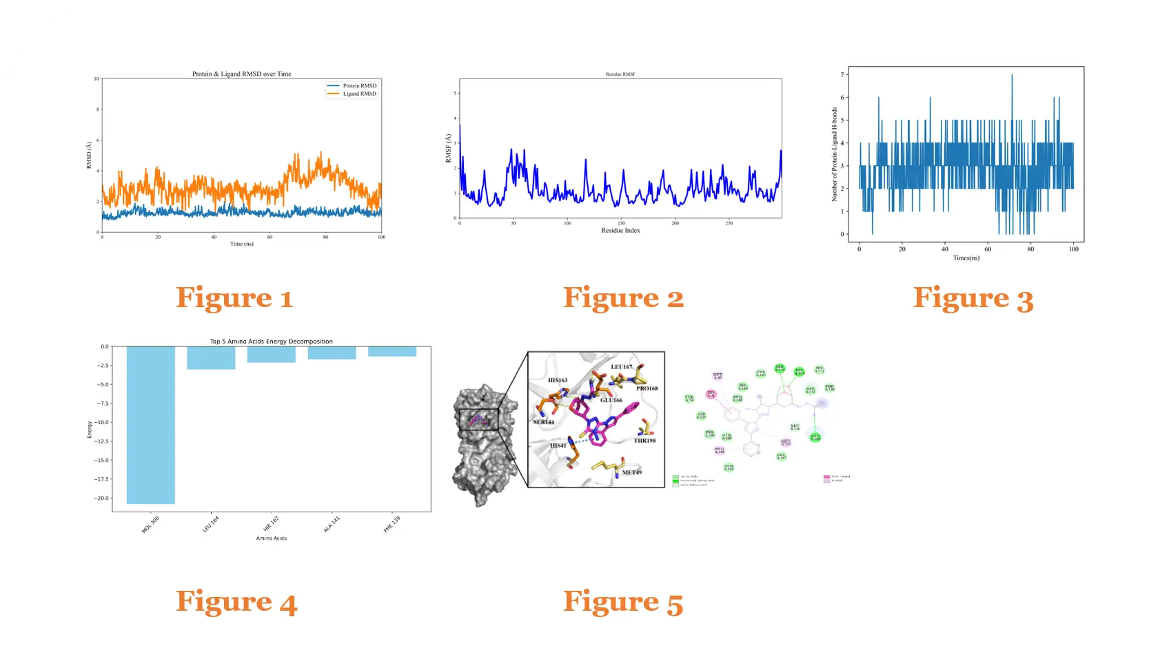 Protein–Small Molecule Molecular Dynamics Simulation Case