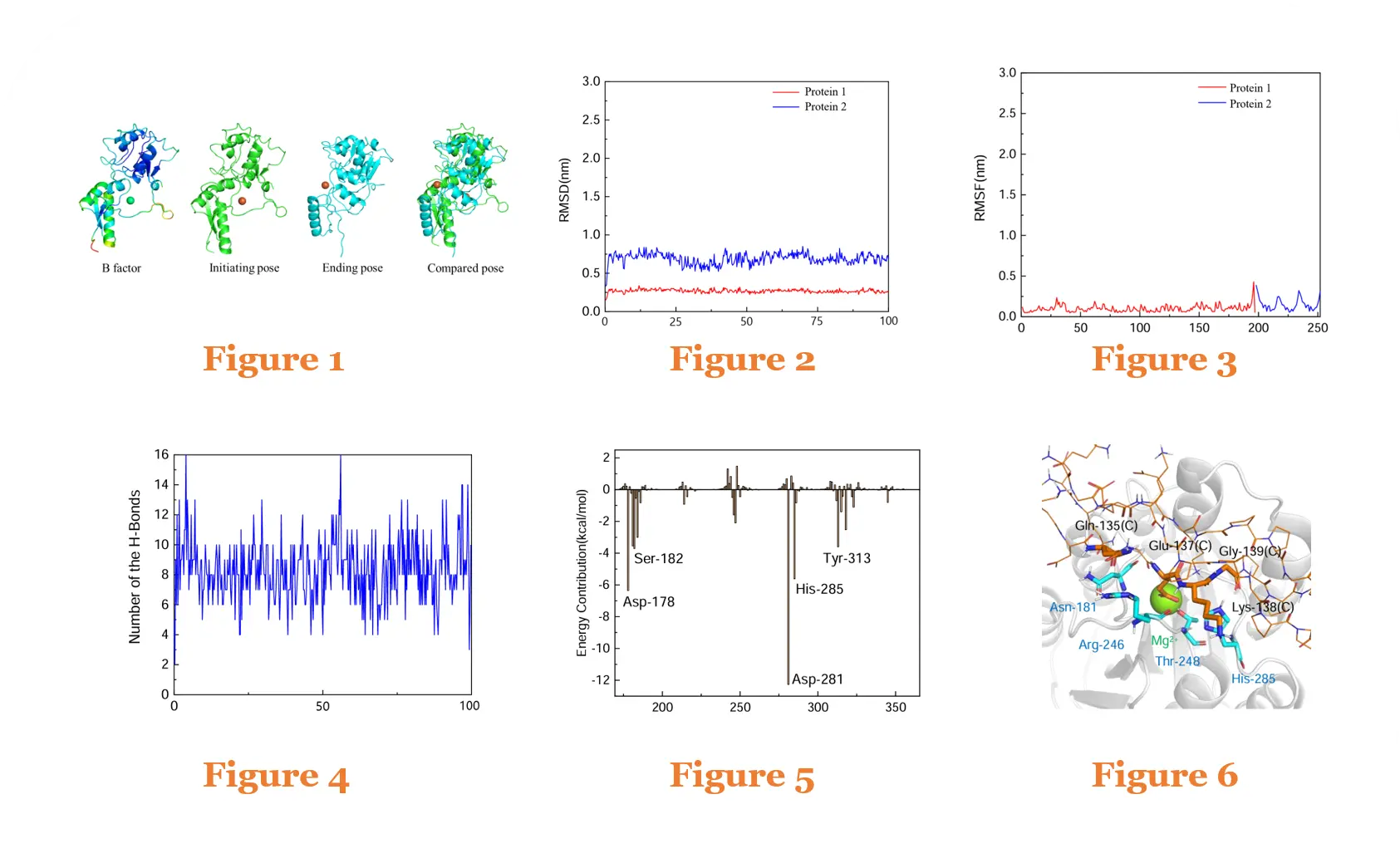 Protein–Protein Molecular Dynamics Simulation Case