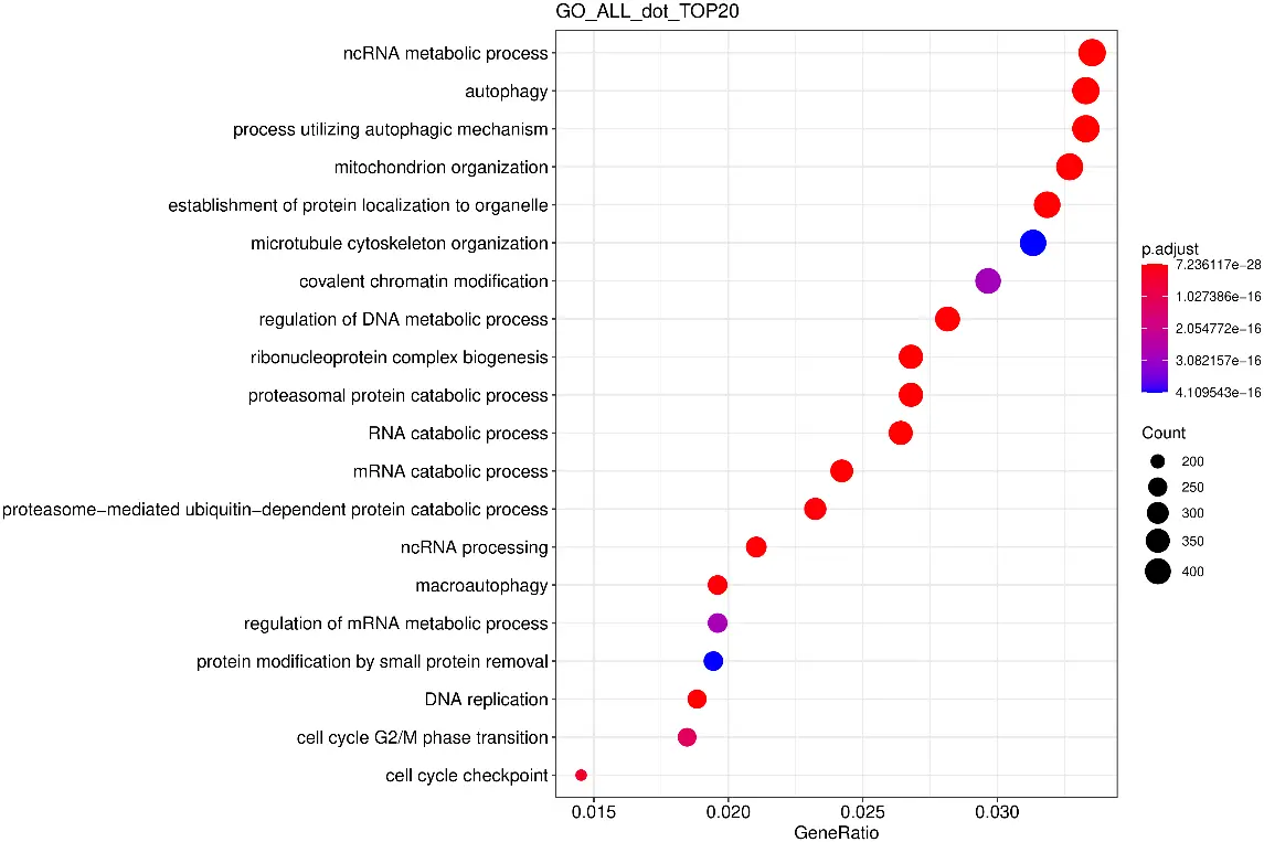 ChIP-qPCR & ChIP-seq Service Case Result4
