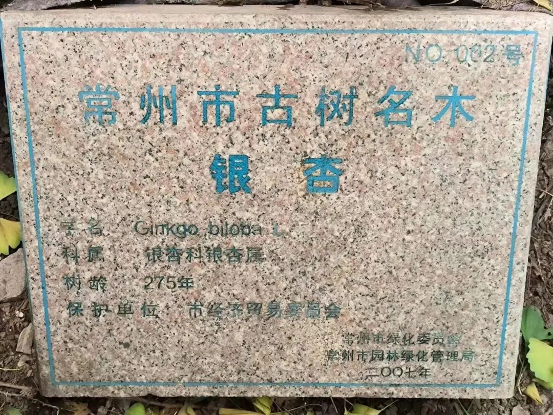 科學(xué)論證、悉心呵護(hù)！讓291歲的她“老有所依”