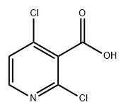 2,4-二氯烟酸