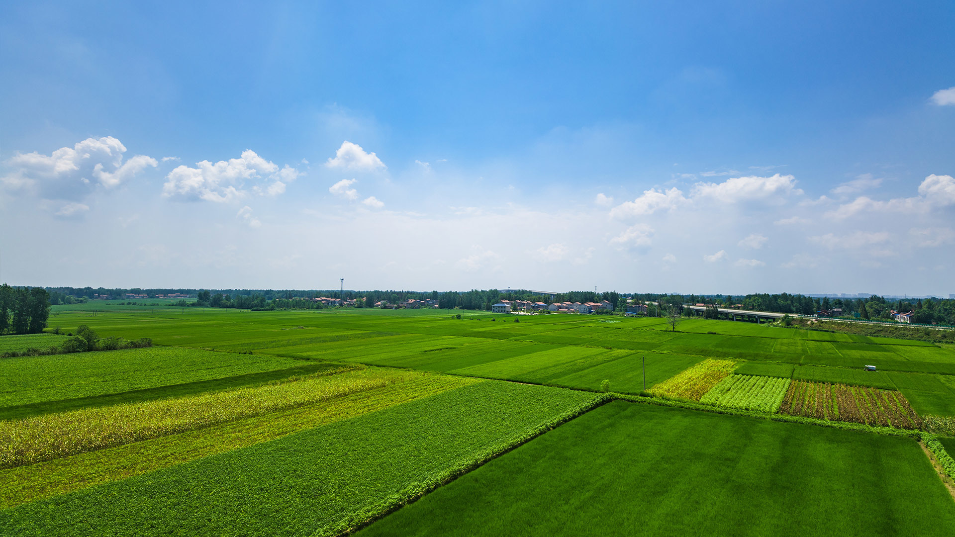 種植基地