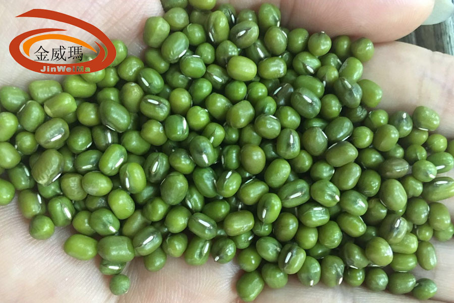油綠豆