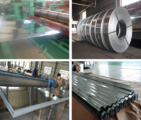 DX54D+Z Galvanized Steel Coil
