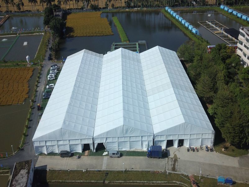 25x75m博览会展品大型活动户外PVC帐篷防水A型帐篷