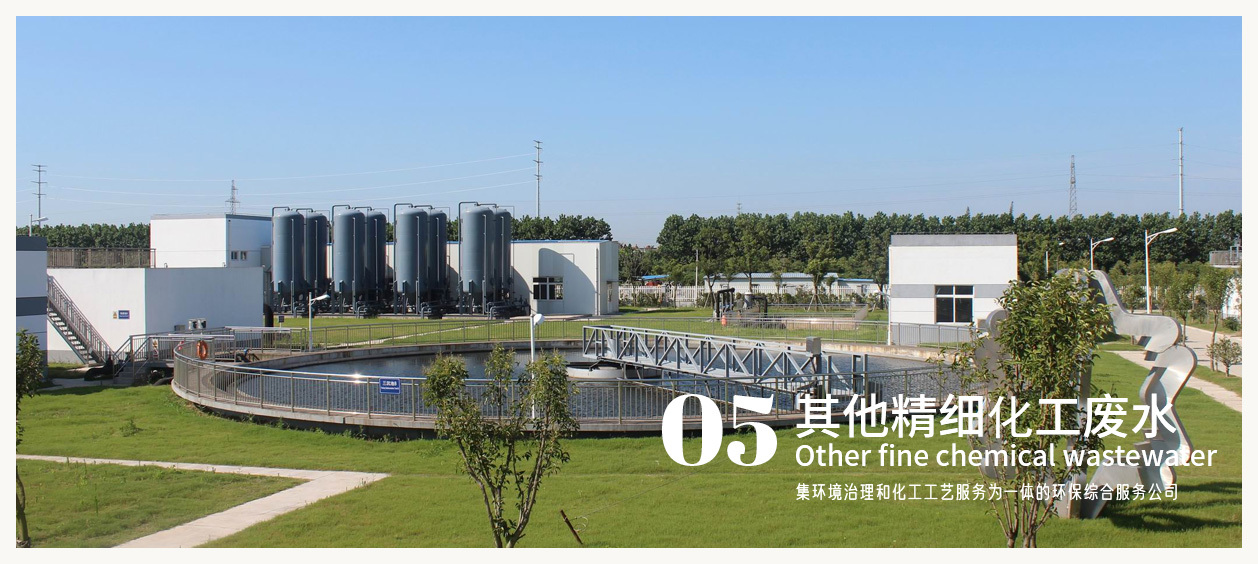 其他精細(xì)化工廢水 其他精細(xì)化工廢水