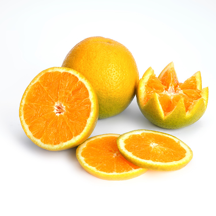Summer Valencia Orange