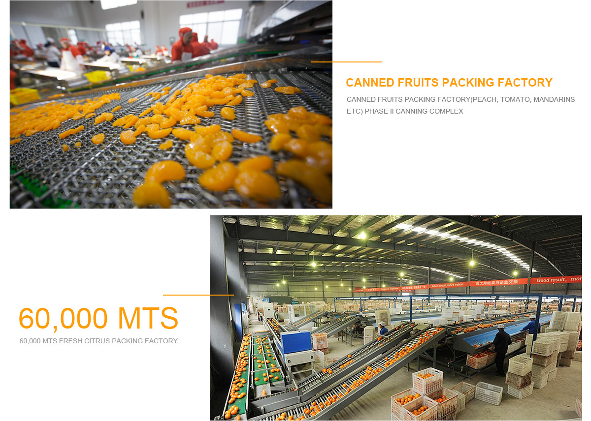 Factories Qugu Food Co Ltd Qugu Food Canned