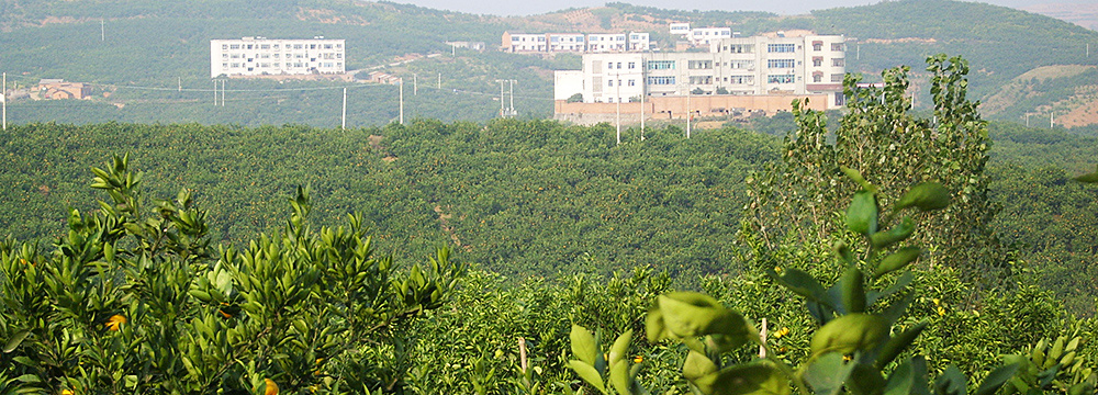 基地建设
