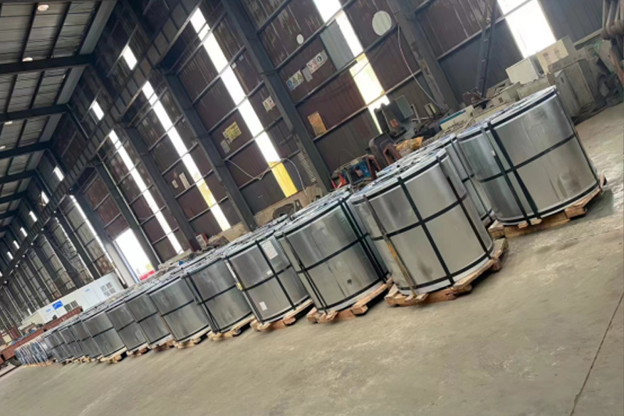 Cibao oriented electrical steel
