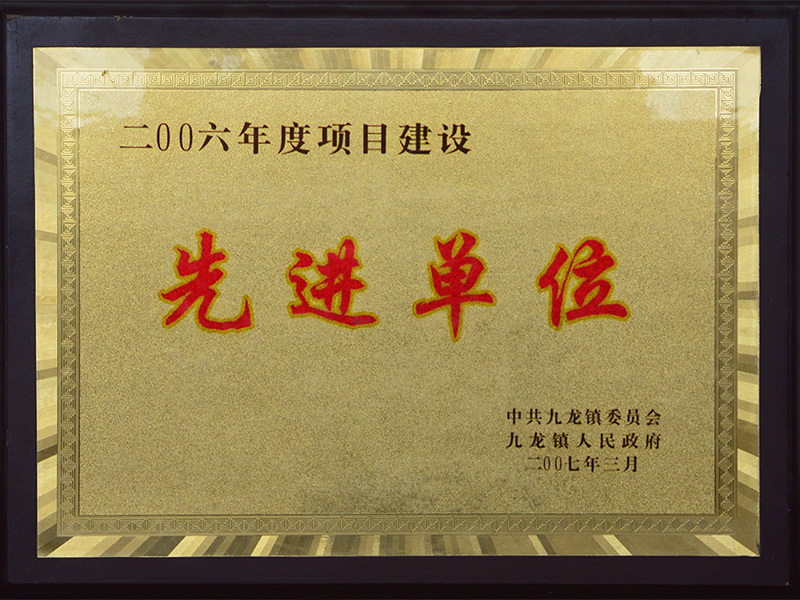 2006年度项目建设先进单位