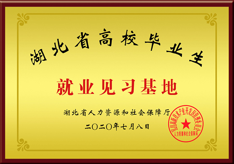 就业见习基地