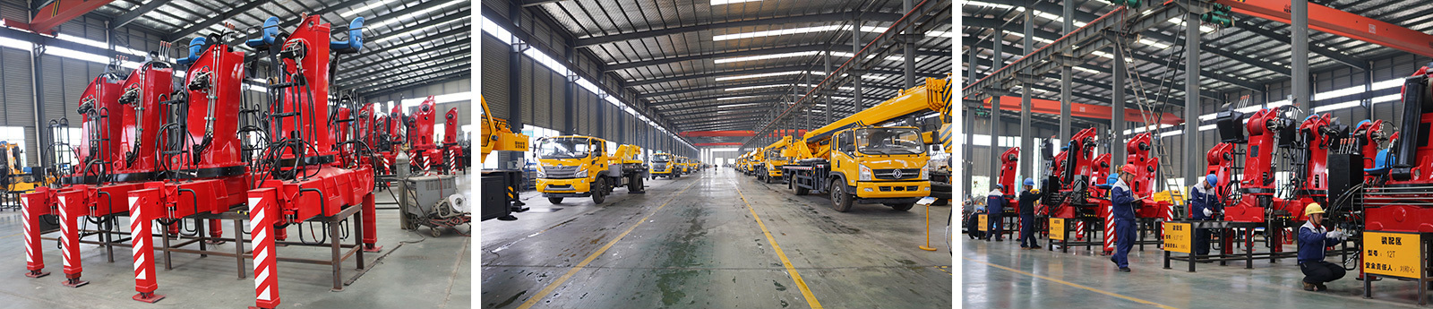 Company Profile