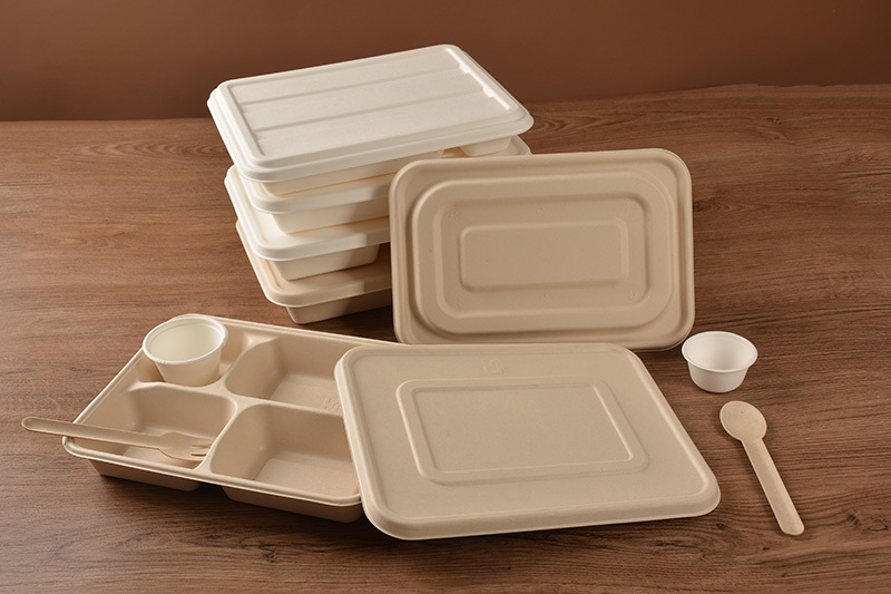 sugar-cane-pulp-clamshell-box-jiangsu-warmpack-packaging-technology-co-ltd