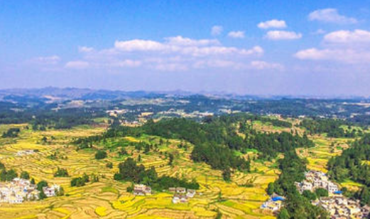 乡村基层治理