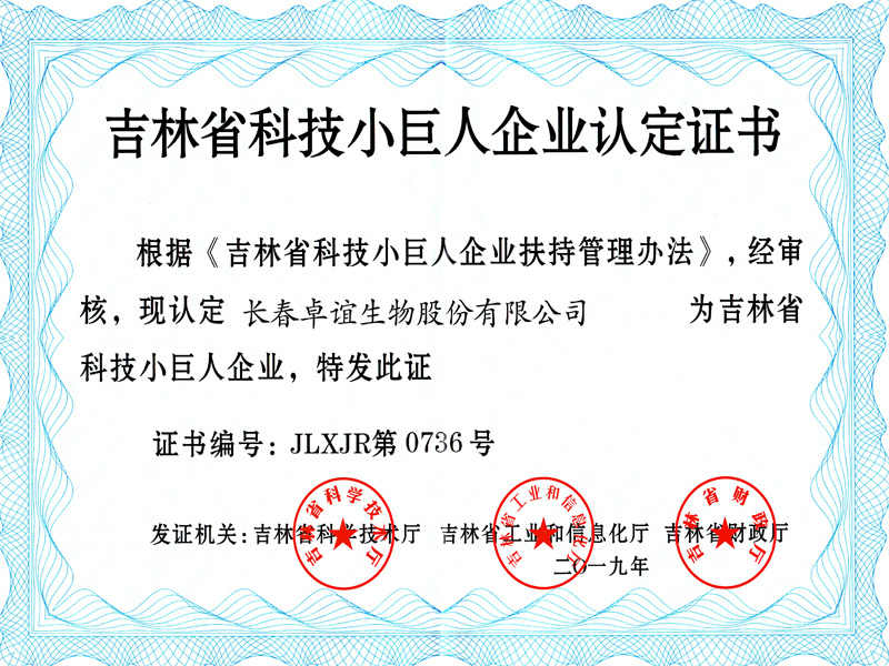 吉林省科技小巨人企业认证证书