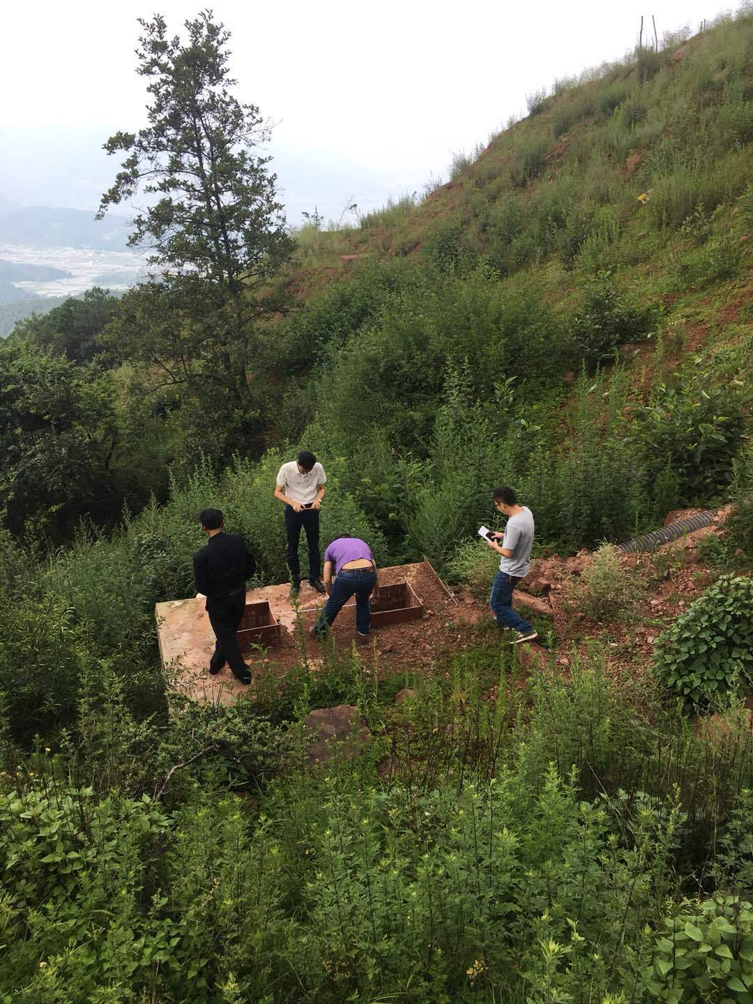 绿水青山就是金山银山