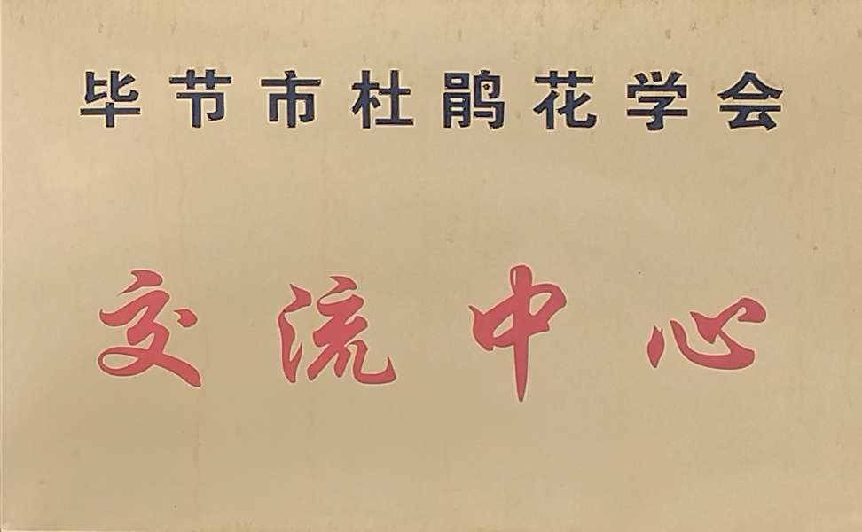 圖片名稱