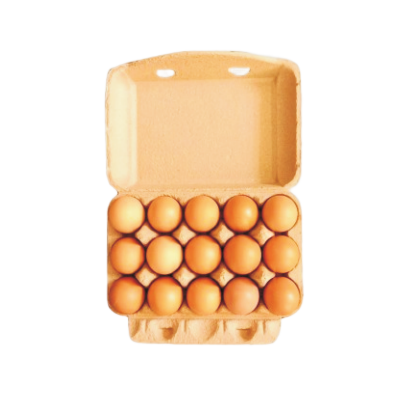 十五枚裝蛋盒
