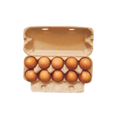 十枚裝蛋盒