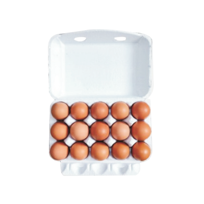 十五枚裝蛋盒
