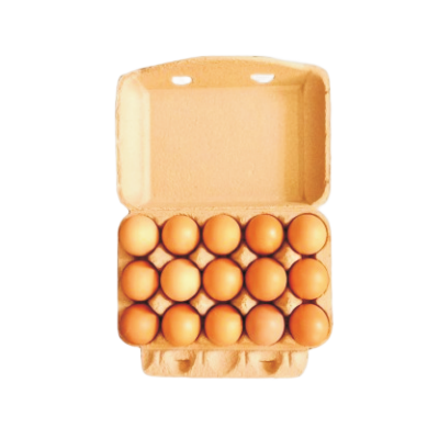fifteen egg boxes