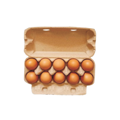 ten egg boxes