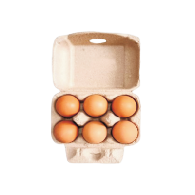 six egg box